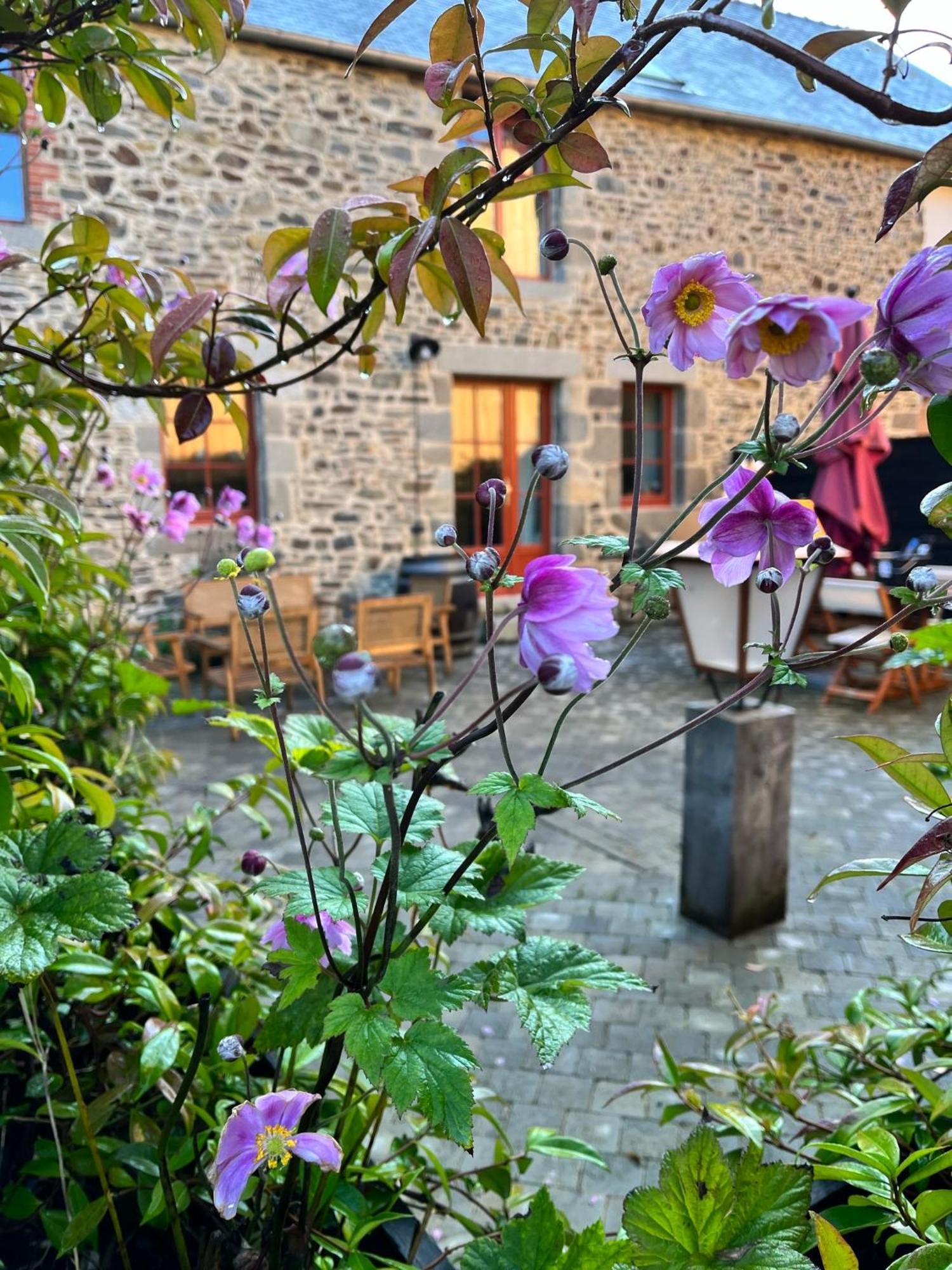Hotel Domaine Du Tertre Ychot Dol-de-Bretagne Exteriér fotografie